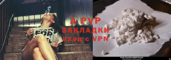 стафф Тихорецк
