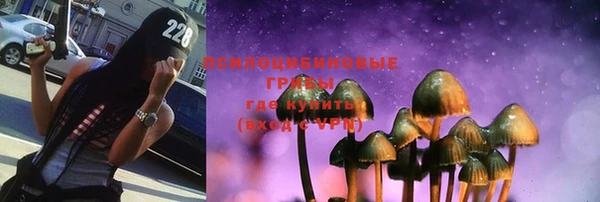 хмурый Верхний Тагил