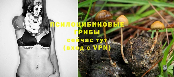 хмурый Верхний Тагил