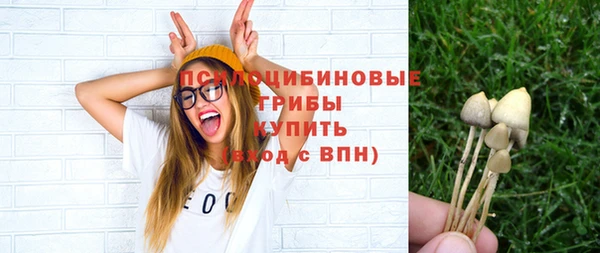 крисы Верея