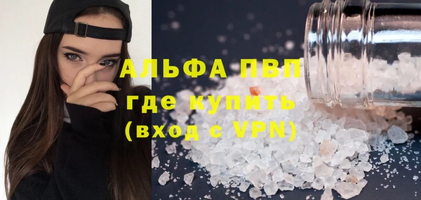 крисы Верея